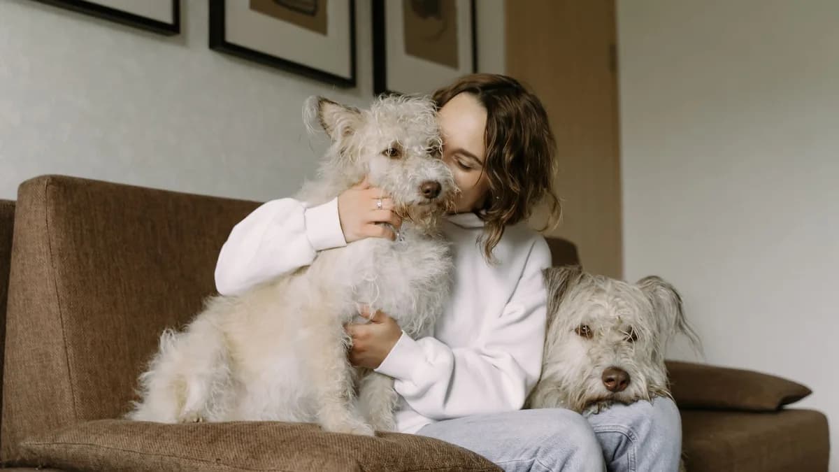 Evde Köpek Bakımı: Temel İhtiyaçlar yazısının kapak görseli
